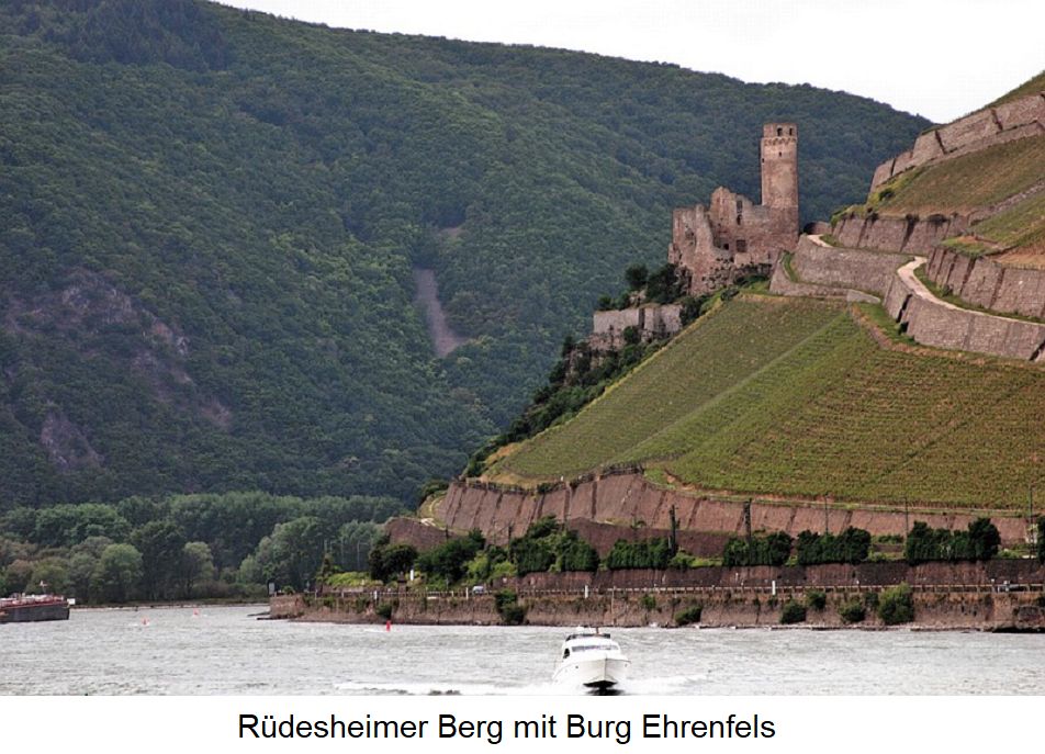 Rüdesheimer Berg - mit Burg Ehrenfels