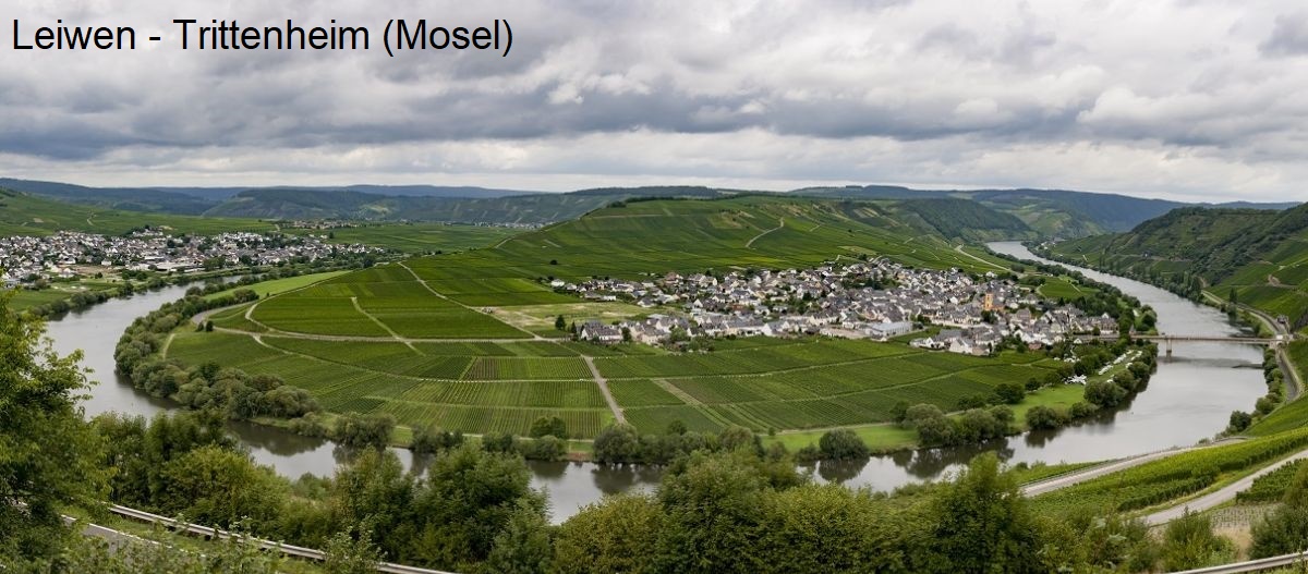 Bild - Moselschleife bei Leiwen - Trittenheim