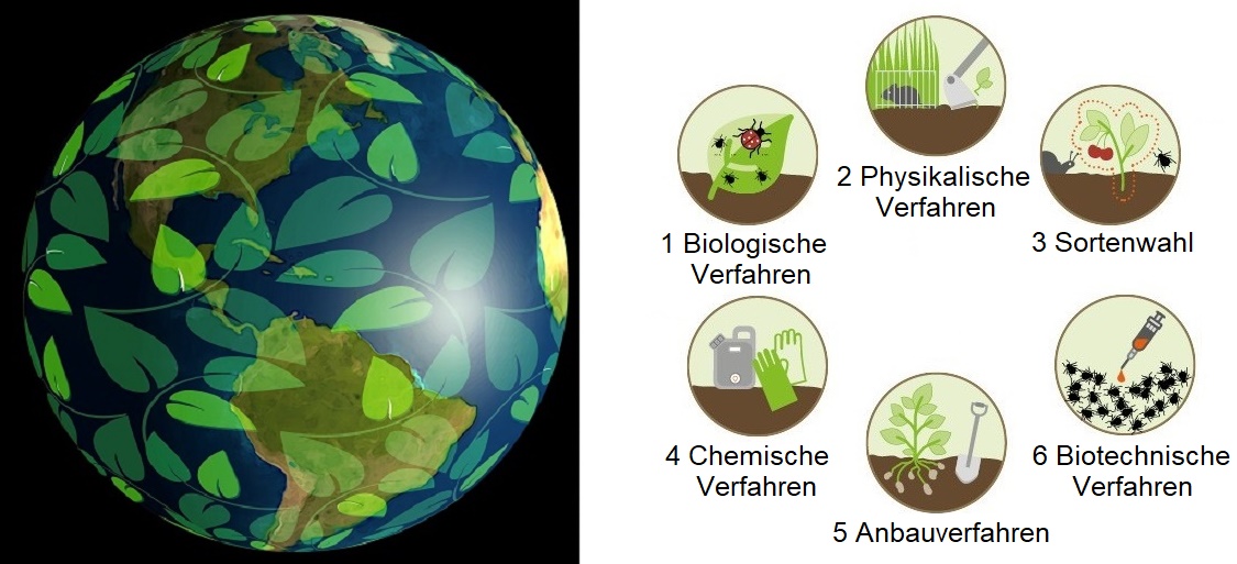 Integrierter Pflanzenschutz - Erdkugel und Graphik