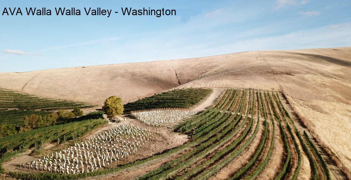 Washington - Walla Walla Valley Weinberge